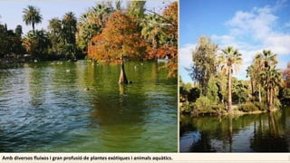Amb diversos fluixos i gran profusió de plantes exòtiques i animals aquàtics.
 