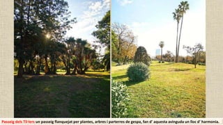 Passeig dels Til·lers un passeig flanquejat per plantes, arbres i parterres de gespa, fan d' aquesta avinguda un lloc d' harmonia.
 