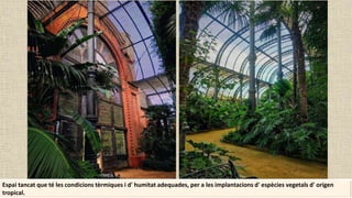 Espai tancat que té les condicions tèrmiques i d' humitat adequades, per a les implantacions d' espècies vegetals d' origen
tropical.
 