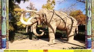 MANEL CANTOS PRESENTACIONS canventu@hotmail.com
 