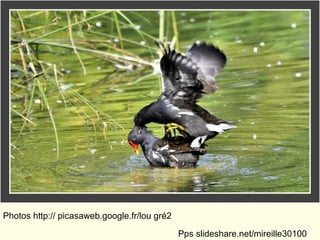 Photos http:// picasaweb.google.fr/lou gré2
Pps slideshare.net/mireille30100
 