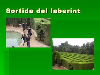 Sortida del laberint 