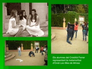 Els alumnes del Cristòfol Ferrer representant la metamorfosi d'Ovidi  Les filles de Mínias   