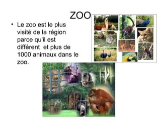 ZOO Le zoo est le plus visité de la région parce qu'il est différent  et plus de 1000 animaux dans le zoo.  