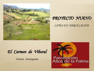 PROYECTO NUEVO 
LOTES EN PARCELACIÓN 
El Carmen de Viboral 
Oriente Antioqueño 
 