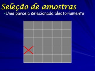 Seleção de amostras
•Uma parcela selecionada aleatoriamente
 