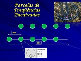 Parcelas de
 Freqüências
 Encaixadas



10m




          50m


          Parcelas/Local

          10m2 = 10
          1m2 = 10
          .1m2 = 40
          .01m2= 40
 