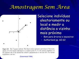 Amostragem Sem Área
                      Selecione indivíduos
                       aleatoriamente ou
                       local e medir a
                       distância a vizinho
                       mais próximo
                        – Bom para árvores e sauveiros
                        – Sutherland pp. 60-62




   (Greenwood 1996)
 