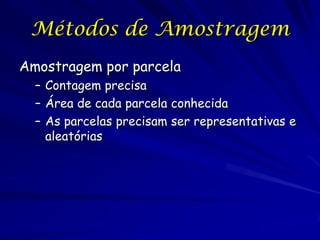 Métodos de Amostragem
Amostragem por parcela
  – Contagem precisa
  – Área de cada parcela conhecida
  – As parcelas precisam ser representativas e
    aleatórias
 