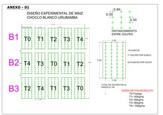 B1
B2
B3
T0 T1 T2 T3 T4
T4 T3 T1 T2T0
T2 T4 T1 T3 T0
15.20
0.80 0.800.80 2.40 0.80
1.00
1.00
17.00
5.00
5.00
2.40
CHOCLO BLANCO URUBAMBA
ANEXO - 01
0.80
0.50
0.50
DISTANCIAMIENTO
ENTRE GOLPES.
TOTAL DE GOLPES EN LA
PARCELA =44
04 SURCOS
11 GOLPES POR SURCO
03 PLANTAS POR GOLPE
5.00
3.20
2.40
DOSIS DE POLIACRILATO
T0=Testigo
T1= 40Kg/ha
T2= 60kg/ha
T3= 80kg/ha
T4= 100kg/ha
 