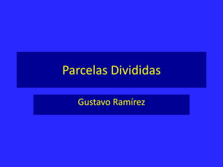 Parcelas Divididas
Gustavo Ramírez
 