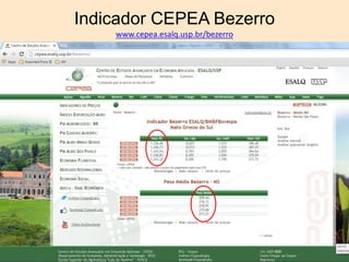 Indicador CEPEA Bezerro
www.cepea.esalq.usp.br/bezerro
 