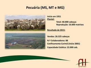 Pecuária (MS, MT e MG)
Início em 1951
Plantel:
Total: 40.000 cabeças
Reprodução: 16.000 matrizes
Resultado de 2015:
Vendas: 26.525 cabeças
N.º Colaboradores: 88
Confinamento Carimã (início 2001)
Capacidade Estática: 22.000 cab.
 