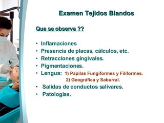 Examen Tejidos Blandos Que se observa ?? Inflamaciones Presencia de placas, cálculos, etc. Retracciones gingivales. Pigmentaciones. Lengua:  1) Papilas Fungiformes y Filiformes. 2) Geográfica y Saburral. Salidas de conductos salivares. Patologías.  