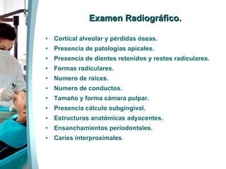 Examen Radiográfico. Cortical alveolar y pérdidas óseas. Presencia de patologías apicales. Presencia de dientes retenidos y restos radiculares.  Formas radiculares. Numero de raíces. Numero de conductos. Tamaño y forma cámara pulpar. Presencia cálculo subgingival. Estructuras anatómicas adyacentes. Ensanchamientos periodontales. Caries ínterproximales .   