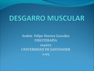 Andrés Felipe Herrera González
       FISIOTERAPIA
           11142017
UNIVERSIDAD DE SANTANDER
             2.013
 