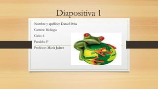 Diapositiva 1
Nombre y apellido: Daniel Peña
Carrera: Biología
Ciclo: 6
Paralelo: F
Profesor: María Juárez
 