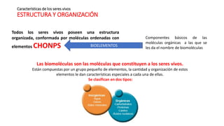 Chonps Bioelementos Parcial 2 clase 7 mayo | PPTX