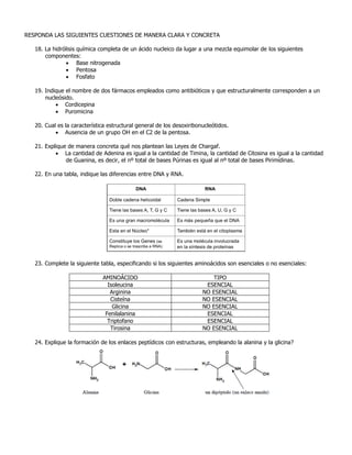 RESPONDA LAS SIGUIENTES CUESTIONES DE MANERA CLARA Y CONCRETA
18. La hidrólisis química completa de un ácido nucleico da lugar a una mezcla equimolar de los siguientes
componentes:
 Base nitrogenada
 Pentosa
 Fosfato
19. Indique el nombre de dos fármacos empleados como antibióticos y que estructuralmente corresponden a un
nucleósido.
 Cordicepina
 Puromicina
20. Cual es la característica estructural general de los desoxiribonucleótidos.
 Ausencia de un grupo OH en el C2 de la pentosa.
21. Explique de manera concreta qué nos plantean las Leyes de Chargaf.
 La cantidad de Adenina es igual a la cantidad de Timina, la cantidad de Citosina es igual a la cantidad
de Guanina, es decir, el nº total de bases Púrinas es igual al nº total de bases Pirimídinas.
22. En una tabla, indique las diferencias entre DNA y RNA.
23. Complete la siguiente tabla, especificando si los siguientes aminoácidos son esenciales o no esenciales:
AMINOÁCIDO TIPO
Isoleucina ESENCIAL
Arginina NO ESENCIAL
Cisteína NO ESENCIAL
Glicina NO ESENCIAL
Fenilalanina ESENCIAL
Triptofano ESENCIAL
Tirosina NO ESENCIAL
24. Explique la formación de los enlaces peptídicos con estructuras, empleando la alanina y la glicina?
 