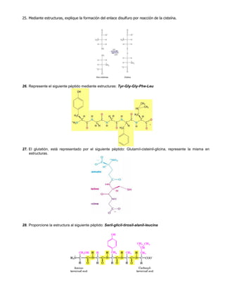 25. Mediante estructuras, explique la formación del enlace disulfuro por reacción de la cisteína.
26. Represente el siguiente péptido mediante estructuras: Tyr-Gly-Gly-Phe-Leu
27. El glutatión, está representado por el siguiente péptido: Glutamil-cisteinil-glicina, represente la misma en
estructuras.
28. Proporcione la estructura al siguiente péptido: Seril-glicil-tirosil-alanil-leucina
 