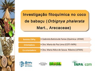 Investigação fitoquímica no coco
de babaçu ( Orbignya phalerata
      Mart., Arecaceae)
 