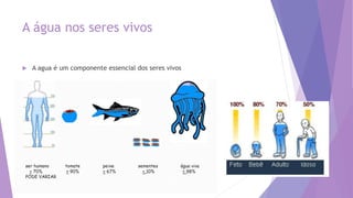 A água nos seres vivos
 A agua é um componente essencial dos seres vivos
 