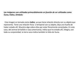 Las imágenes son utilizadas primordialmente en función de ser utilizadas como
Ícono, Índice, Símbolo:
Esta imagen es tomada como índice, ya que tiene relación directa con su objeto que
representa. Tiene una relación física o temporal con su objeto, deja una huella de
haber estado allí. Muestra algo sobre ellas por estar físicamente conectadas. En este
caso, del animal (el búfalo o vaca americana), indica que ha estado allí, íntegro, con
toda su corporeidad, la tierra seca indica también la falta de lluvia.
 