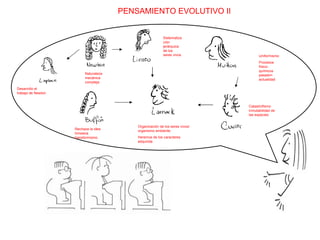 PENSAMIENTO EVOLUTIVO II Desarrollo el trabajo de Newton Naturaleza mecánica compleja Sistematización jerárquica de los seres vivos Uniformismo Procesos físico-químicos pasado= actualidad Rechaza la idea linneana transformismo Catastrofismo inmutabilidad de las especies Organización de los seres vivos/organismo ambiente. Herencia de los caracteres adquirida 