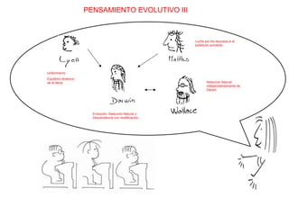 PENSAMIENTO EVOLUTIVO III Lucha por los recursos si la población aumenta Selección Natural independientemente de Darwin Uniformismo Equilibrio dinámico de la tierra. Evolución: Selección Natural y Descendencia con modificación. 