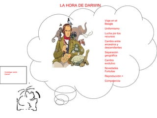 LA HORA DE DARWIN Viaje en el Beagle Uniformismo Lucha por los recursos Cambio entre ancestros y descendientes Separación geográfica Cambio evolutivo Novedades Fortuitas Reproducción + Competencia mmmm Investigar sobre Darwin 