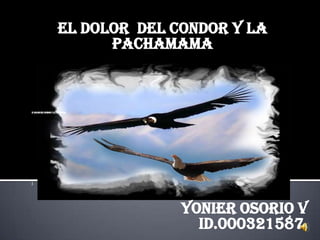 EL DOLOR DEL CONDOR Y LA
PACHAMAMA
EL DOLOR DEL CONDOR Y LA PACHAMAMA
I
YONIER OSORIO V
ID.000321587.
 