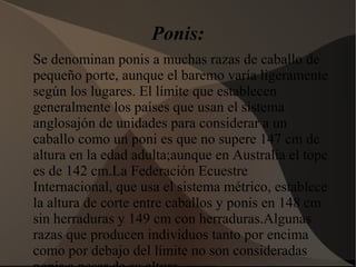 Ponis:
Se denominan ponis a muchas razas de caballo de
pequeño porte, aunque el baremo varía ligeramente
según los lugares. El límite que establecen
generalmente los países que usan el sistema
anglosajón de unidades para considerar a un
caballo como un poni es que no supere 147 cm de
altura en la edad adulta;aunque en Australia el tope
es de 142 cm.La Federación Ecuestre
Internacional, que usa el sistema métrico, establece
la altura de corte entre caballos y ponis en 148 cm
sin herraduras y 149 cm con herraduras.Algunas
razas que producen individuos tanto por encima
como por debajo del límite no son consideradas
 