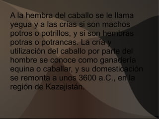 A la hembra del caballo se le llama
yegua y a las crías si son machos
potros o potrillos, y si son hembras
potras o potrancas. La cría y
utilización del caballo por parte del
hombre se conoce como ganadería
equina o caballar, y su domesticación
se remonta a unos 3600 a.C., en la
región de Kazajistán.
 