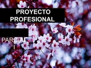 PROYECTO 
PROFESIONAL 
PARCIAL 
I 
 