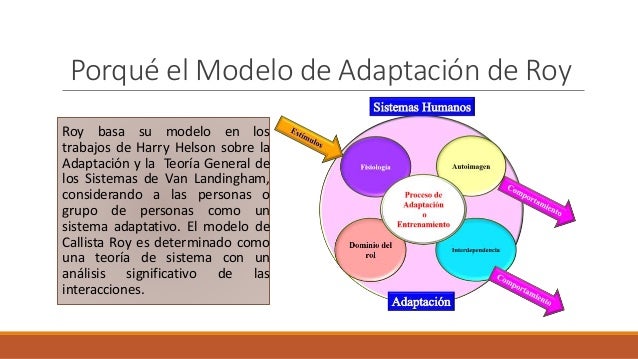 Modelo De Adaptacion De Callista Roy Pdf Noticias Modelo