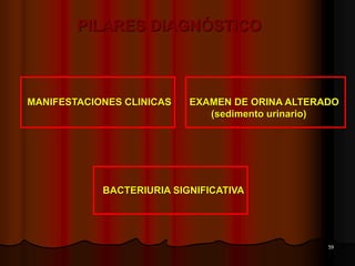 59
BACTERIURIA SIGNIFICATIVA
PILARES DIAGNÓSTICO
MANIFESTACIONES CLINICAS EXAMEN DE ORINA ALTERADO
(sedimento urinario)
 