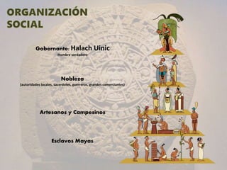 Gobernante: Halach Uinic
-Hombre verdadero-
Nobleza
(autoridades locales, sacerdotes, guerreros, grandes comerciantes)
Artesanos y Campesinos
Esclavos Mayas
 