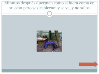 Minutos después duermen como si fuera como en su casa pero se despiertan y se va, y no solos 