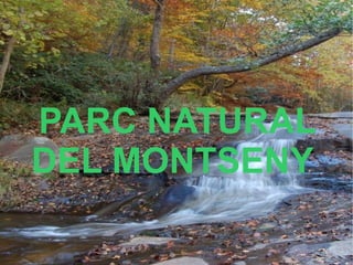 PARC NATURAL DEL MONTSENY  