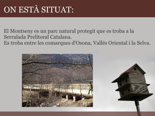 ON ESTÀ SITUAT: El Montseny es un parc natural protegit que es troba a la Serralada Prelitoral Catalana. Es troba entre les comarques d'Osona, Vallés Oriental i la Selva.         