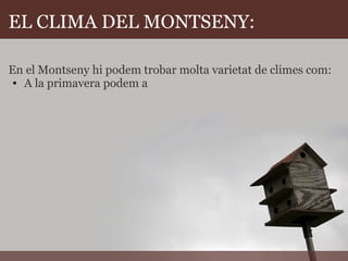 EL CLIMA DEL MONTSENY: En el Montseny hi podem trobar molta varietat de climes com: A la primavera podem a  