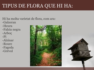 TIPUS DE FLORA QUE HI HA:    Hi ha molta varietat de flora, com ara: -Galzeran -Heura -Falzia negra  -Arboç -Pi  -Alzinar -Roure -Fageda  -Grévol 