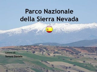 Parco Nazionale
della Sierra Nevada
Lavoro di:
Tortora Daniela
 