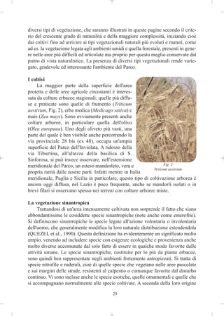 diversi tipi di vegetazione, che saranno illustrati in queste pagine secondo il crite-
rio del crescente grado di naturalità e della maggiore complessità, iniziando cioè
dai coltivi fino ad arrivare ai tipi vegetazionali naturali più evoluti e maturi, come
ad es. la vegetazione legata agli ambienti umidi e quella forestale, presenti in gene-
re nelle aree più difficili ed articolate ma proprio per questo meglio conservate dal
punto di vista naturalistico. La presenza di diversi tipi vegetazionali rende varie-
gato, gradevole ed interessante l'ambiente del Parco.

I coltivi
     La maggior parte della superficie dell'area
protetta e delle aree agricole circostanti è interes-
sata da colture erbacee stagionali; quelle più diffu-
se e praticate sono quelle di frumento (Triticum
aestivum, Fig. 2), erba medica (Medicago sativa) e
mais (Zea mays). Sono ovviamente presenti anche
colture arboree, in particolare quella dell'olivo
(Olea europaea). Uno degli oliveto più vasti, una
parte del quale è ben visibile anche percorrendo la
via provinciale 28 bis (ex 48), occupa un'ampia
superficie del Parco dell'Inviolata. A ridosso della
via Tiburtina, all'altezza della basilica di S.
Sinforosa, si può invece osservare, nell'estensione
meridionale del Parco, un esteso mandorleto, vera e                   Fig. 2
                                                                Triticum aestivum
propria rarità dalle nostre parti. Infatti mentre in Italia
meridionale, Puglia e Sicilia in particolare, questo tipo di coltivazione arborea è
ancora oggi diffusa, nel Lazio è poco frequente, anche se mandorli isolati o in
brevi filari si osservano spesso nei terreni con colture arboree miste.

La vegetazione sinantropica
     Trattandosi di un'area intensamente coltivata non sorprende il fatto che siano
abbondantissime le cosiddette specie sinantropiche (note anche come emerofite).
Si definiscono sinantropiche le specie legate all'azione volontaria o involontaria
dell'uomo, che generalmente modifica la loro naturale distribuzione estendendola
(QUEZEL et al., 1990). Questa definizione ha evidentemente un significato molto
ampio, venendo ad includere specie con esigenze ecologiche e provenienza anche
molto diverse accomunate dal solo fatto di essere in qualche modo favorite dalle
attività umane. Le specie sinantropiche, costituite per lo più da piante erbacee,
sono quindi ben rappresentate negli ambienti fortemente antropizzati. Si tratta di
specie nitrofile e ruderali, cioè di quelle specie che vegetano nelle aree pascolate
e sui margini delle strade, resistenti al calpestio o comunque favorite dal disturbo
continuo. Vi sono incluse anche le specie esotiche, quelle ornamentali e quelle che
si accompagnano normalmente alle specie coltivate. A seconda della loro origine

                                           29
 