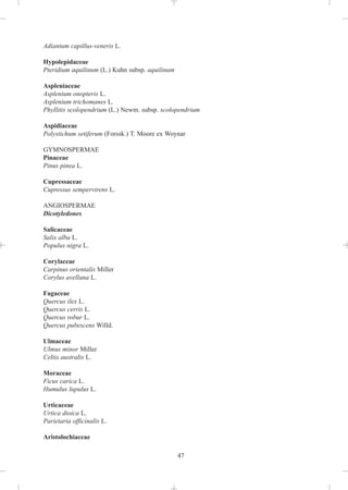 Adiantum capillus-veneris L.

Hypolepidaceae
Pteridium aquilinum (L.) Kuhn subsp. aquilinum

Aspleniaceae
Asplenium onopteris L.
Asplenium trichomanes L.
Phyllitis scolopendrium (L.) Newm. subsp. scolopendrium

Aspidiaceae
Polystichum setiferum (Forssk.) T. Moore ex Woynar

GYMNOSPERMAE
Pinaceae
Pinus pinea L.

Cupressaceae
Cupressus sempervirens L.

ANGIOSPERMAE
Dicotyledones

Salicaceae
Salix alba L.
Populus nigra L.

Corylaceae
Carpinus orientalis Miller
Corylus avellana L.

Fagaceae
Quercus ilex L.
Quercus cerris L.
Quercus robur L.
Quercus pubescens Willd.

Ulmaceae
Ulmus minor Miller
Celtis australis L.

Moraceae
Ficus carica L.
Humulus lupulus L.

Urticaceae
Urtica dioica L.
Parietaria officinalis L.

Aristolochiaceae

                                                 47
 