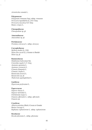 Aristolochia rotunda L.

Polygonaceae
Polygonum romanum Jacq. subsp. romanum
Persicaria lapathifolia (L.) S.F. Gray
Persicaria maculosa S.F. Gray
Rumex crispus L.

Chenopodiaceae
Chenopodium sp. pl.

Amaranthaceae
Amaranthus sp. pl.

Portulacaceae
Portulaca oleracea L. subsp. oleracea

Caryophyllaceae
Stellaria media (L.) Vill.
Silene flos-cuculi (L.) Greuter et Burdet
Silene sp. pl.

Ranunculaceae
Delphinium halteratum Sm.
Consolida regalis S. F. Gray
Anemone apennina L.
Anemone coronaria L.
Clematis flammula L.
Clematis vitalba L.
Ranunculus ficaria L.
Ranunculus sp. pl.
Thalictrum aquilegifolium L.

Guttiferae
Hypericum perforatum L.

Papaveraceae
Papaver rhoeas L.
Papaver hybridum L.
Chelidonium majus L.
Fumaria officinalis L. subsp. officinalis
Fumaria sp.

Cruciferae
Alliaria petiolata (Bieb.) Cavara et Grande
Bunias erucago L.
Raphanus raphanistrum L. subsp. raphanistrum

Resedaceae
Reseda phyteuma L. subsp. phyteuma

                                               48
 