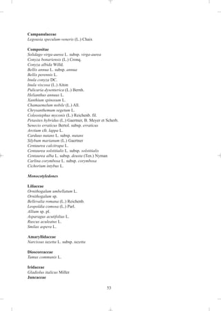 Campanulaceae
Legousia speculum-veneris (L.) Chaix

Compositae
Solidago virga-aurea L. subsp. virga-aurea
Conyza bonariensis (L.) Cronq.
Conyza albida Willd.
Bellis annua L. subsp. annua
Bellis perennis L.
Inula conyza DC.
Inula viscosa (L.) Aiton
Pulicaria dysenterica (L.) Bernh.
Helianthus annuus L.
Xanthium spinosum L.
Chamaemelum nobile (L.) All.
Chrysanthemum segetum L.
Coleostephus myconis (L.) Reichenb. fil.
Petasites hybridus (L.) Gaertner, B. Meyer et Scherb.
Senecio erraticus Bertol. subsp. erraticus
Arctium cfr. lappa L.
Carduus nutans L. subsp. nutans
Silybum marianum (L.) Gaertner
Centaurea calcitrapa L.
Centaurea solstitialis L. subsp. solstitialis
Centaurea alba L. subsp. deusta (Ten.) Nyman
Carlina corymbosa L. subsp. corymbosa
Cichorium intybus L.

Monocotyledones

Liliaceae
Ornithogalum umbellatum L.
Ornithogalum sp.
Bellevalia romana (L.) Reichenb.
Leopoldia comosa (L.) Parl.
Allium sp. pl.
Asparagus acutifolius L.
Ruscus aculeatus L.
Smilax aspera L.

Amaryllidaceae
Narcissus tazetta L. subsp. tazetta

Dioscoreaceae
Tamus communis L.

Iridaceae
Gladiolus italicus Miller
Juncaceae

                                              53
 