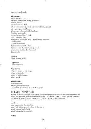 Juncus cfr. inflexus L.

Gramineae
Briza maxima L.
Dactylis glomerata L. subsp. glomerata
Lolium perenne L.
Bromus diandrus Roth
Hordeum murinum L. subsp. leporinum (Link) Arcangeli
Elytrigia repens (L.) Nevski
Dasypyrum villosum (L.) P. Candargy
Triticum aestivum L.
Avena barbata Pott. ex Link
Aira cupaniana Guss.
Phragmites australis (Cavill.) Steudel subsp. australis
Arundo donax L.
Arundo plinii Turra
Cynodon dactylon (L.) Pers.
Setaria viridis (L.) Beauv. subsp. viridis
Imperata cylindrica (L.) Raeuschel
Zea mays L.

Araceae
Arum italicum Miller

Typhaceae
Typha latifolia L.

Cyperaceae
Cyperus longus L. ssp. longus
Cyperus fuscus L.
Carex pendula Hudson
Carex sp. pl.

Orchidaceae
Platanthera sp.
Orchis purpurea Hudson
Anacamptis pyramidalis (L.) L.C.M. Richard

ELENCO FAUNISTICO
Elenco, in ordine alfabetico, delle specie di vertebrati osservate all'interno dell'attuale perimetro del
Parco dell'Inviolata. Nomenclatura secondo BOLOGNA et al., 2000 (Anfibi e Rettili), MESCHI-
NI, FRUGIS, 1993 (Uccelli) e SPAGNESI, DE MARINIS, 2002 (Mammiferi).

Anfibi
rana appenninica (Rana italica)
rane verdi (Rana bergeri + Rana kl. hispanica)
rospo comune (Bufo bufo)
rospo smeraldino (Bufo viridis)

Rettili

                                               54
 