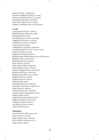 biacco (Coluber viridiflavus)
lucertola campestre (Podarcis sicula)
lucertola muraiola (Podarcis muralis)
luscengola (Chalcides chalcides)
natrice dal collare (Natrix natrix)
ramarro occidentale (Lacerta bilineata)

Uccelli
averla piccola (Lanius collurio)
ballerina bianca (Motacilla alba)
barbagianni (Tyto alba)
beccamoschino (Cisticola juncidis)
cappellaccia (Galerida cristata)
cardellino (Carduelis carduelis)
civetta (Athene noctua)
codibugnolo (Aegithalos caudatus)
cornacchia grigia (Corvus corone cornix)
cuculo (Cuculus canorus)
fringuello (Fringilla coelebs)
gabbiano reale mediterraneo (Larus cachinnans)
gheppio (Falco tinnunculus)
gruccione (Merops apiaster)
merlo (Turdus merula)
nibbio bruno (Milvus migrans)
passera d'Italia (Passer italiae)
passera mattugia (Passer montanus)
pettirosso (Erithacus rubecula)
pigliamosche (Muscicapa striata)
rigogolo (Oriolus oriolus)
rondine (Hirundo rustica)
rondone (Apus apus)
saltimpalo (Saxicola torquata)
scricciolo (Troglodytes troglodytes)
storno (Sturnus vulgaris)
strillozzo (Emberiza calandra)
tortora comune (Streptopelia turtur)
upupa (Upupa epops)
usignolo (Luscinia megarhynchos)
usignolo di fiume (Cettia cetti)
verdone (Carduelis chloris)
verzellino (Serinus serinus)
zigolo (Emberiza sp.)

Mammiferi
arvicola di Savi (Microtus savii)
istrice (Hystrix cristata)
talpa romana (Talpa romana)
topo selvatico (Apodemus sp.)
volpe (Vulpes vulpes)


                                             55
 