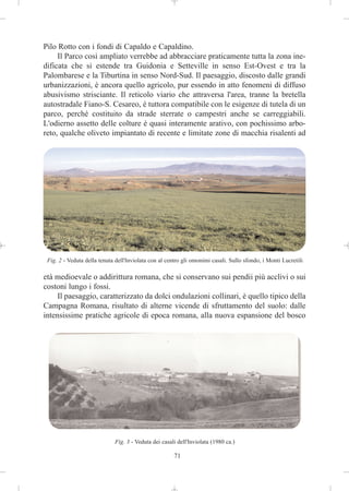 Pilo Rotto con i fondi di Capaldo e Capaldino.
     Il Parco così ampliato verrebbe ad abbracciare praticamente tutta la zona ine-
dificata che si estende tra Guidonia e Setteville in senso Est-Ovest e tra la
Palombarese e la Tiburtina in senso Nord-Sud. Il paesaggio, discosto dalle grandi
urbanizzazioni, è ancora quello agricolo, pur essendo in atto fenomeni di diffuso
abusivismo strisciante. Il reticolo viario che attraversa l'area, tranne la bretella
autostradale Fiano-S. Cesareo, è tuttora compatibile con le esigenze di tutela di un
parco, perché costituito da strade sterrate o campestri anche se carreggiabili.
L'odierno assetto delle colture è quasi interamente arativo, con pochissimo arbo-
reto, qualche oliveto impiantato di recente e limitate zone di macchia risalenti ad




 Fig. 2 - Veduta della tenuta dell'Inviolata con al centro gli omonimi casali. Sullo sfondo, i Monti Lucretili

età medioevale o addirittura romana, che si conservano sui pendii più acclivi o sui
costoni lungo i fossi.
     Il paesaggio, caratterizzato da dolci ondulazioni collinari, è quello tipico della
Campagna Romana, risultato di alterne vicende di sfruttamento del suolo: dalle
intensissime pratiche agricole di epoca romana, alla nuova espansione del bosco




                             Fig. 3 - Veduta dei casali dell'Inviolata (1980 ca.)

                                                       71
 